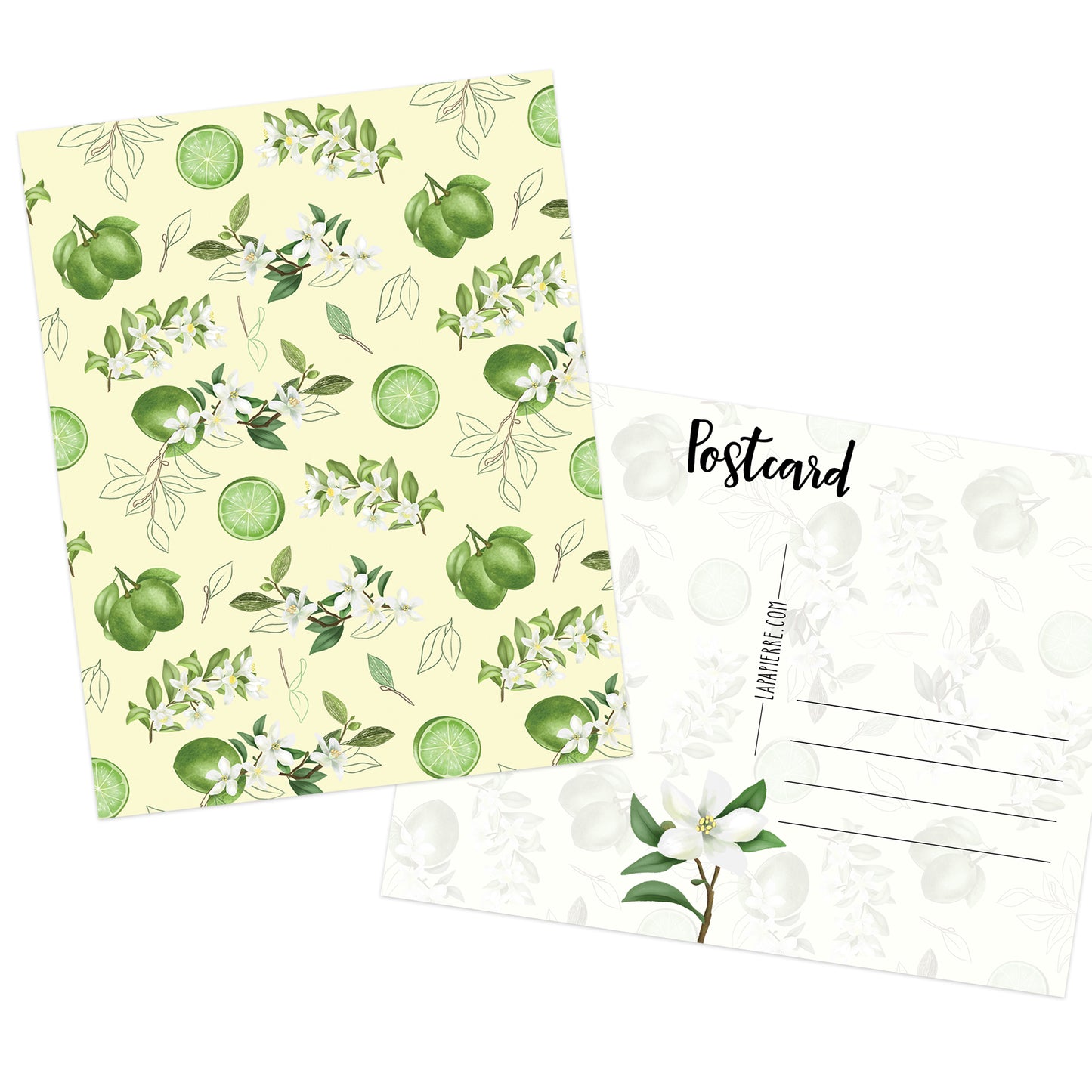 Citron Limette Postcard 1