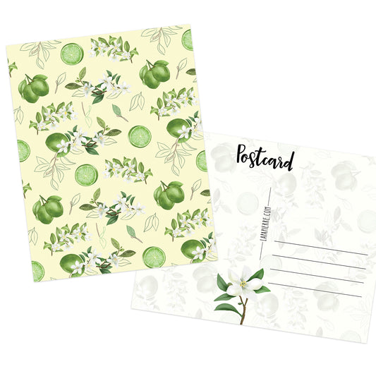 Citron Limette Postcard 1