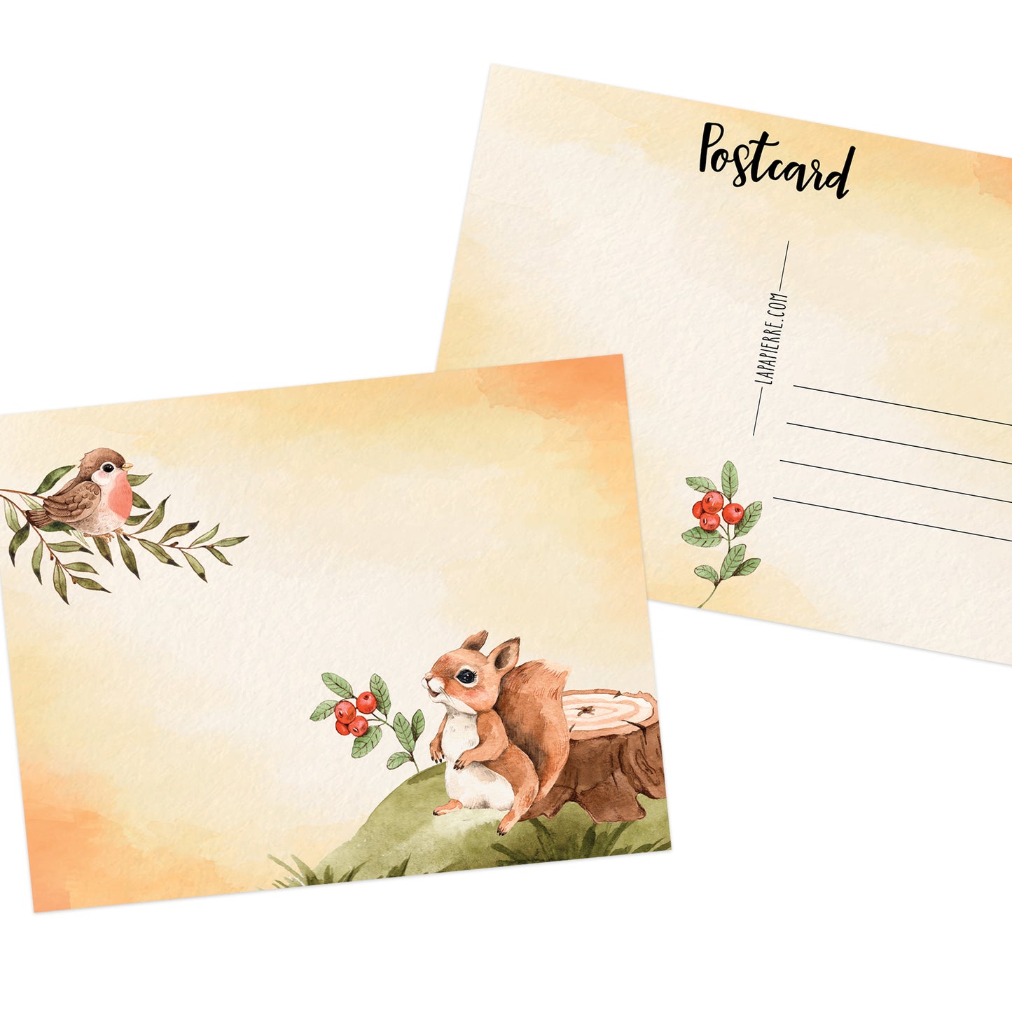 Flora and Fauna Postcard 2