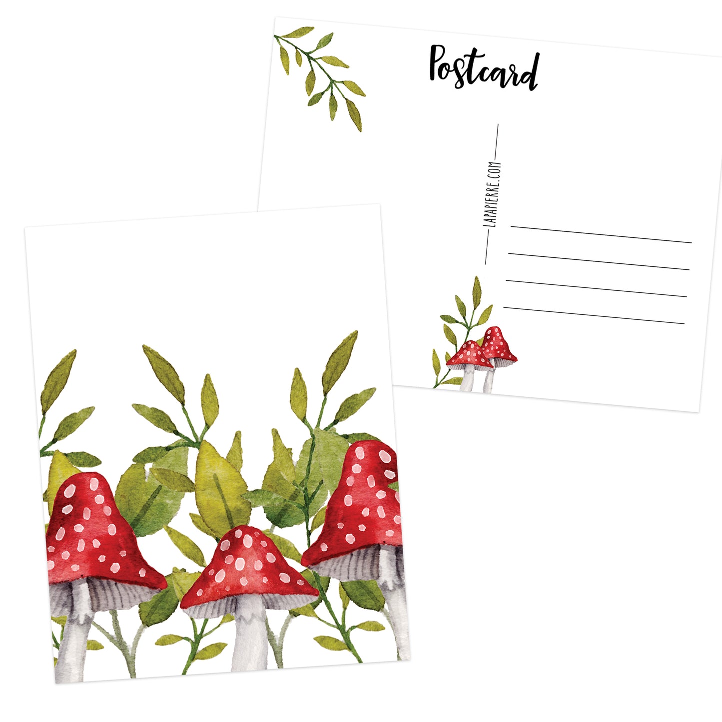 Toadstool Postcard 1