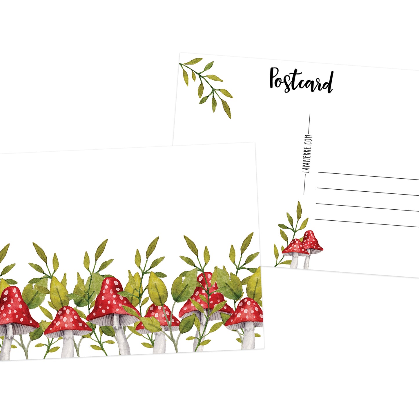 Toadstool Postcard 2